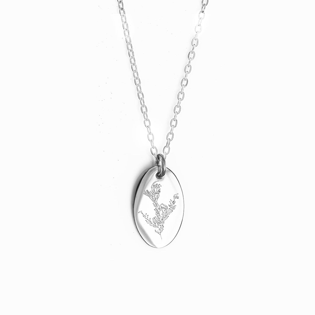 Adenanthos Necklace - Silver
