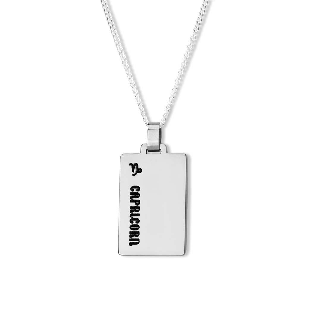 Capricorn Necklace - Silver