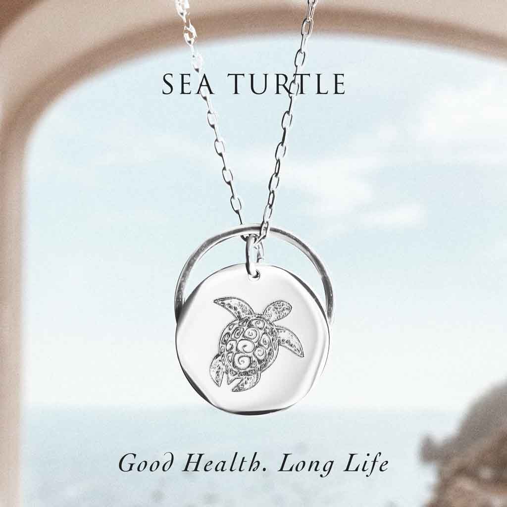 Meaning card Sea Turtle