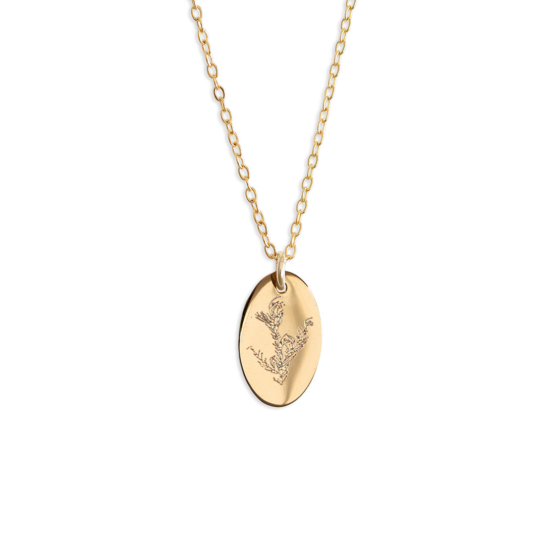 Adenanthos Necklace - Gold