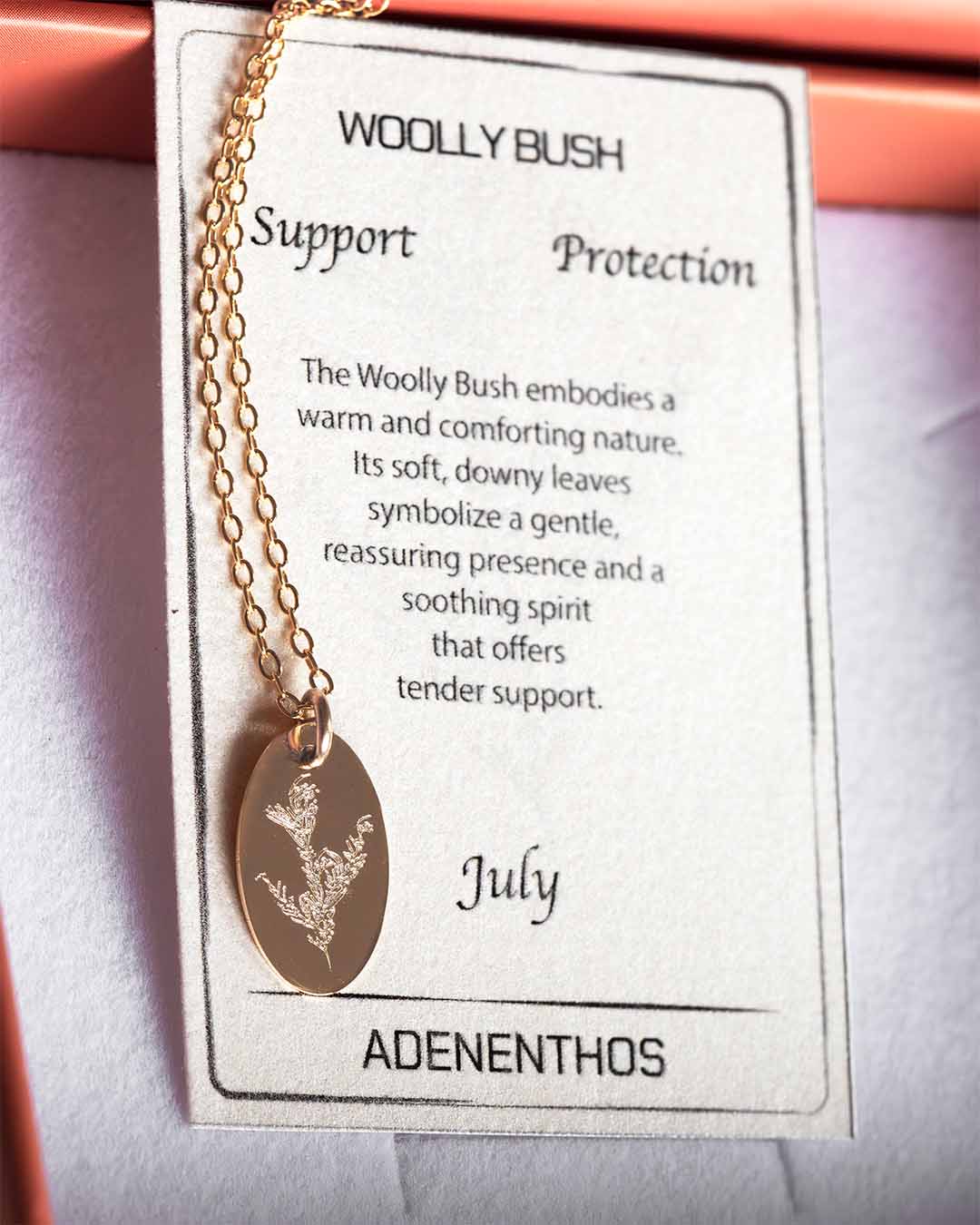 Adenanthos Australian Native Birthflower necklace gold with meaning card