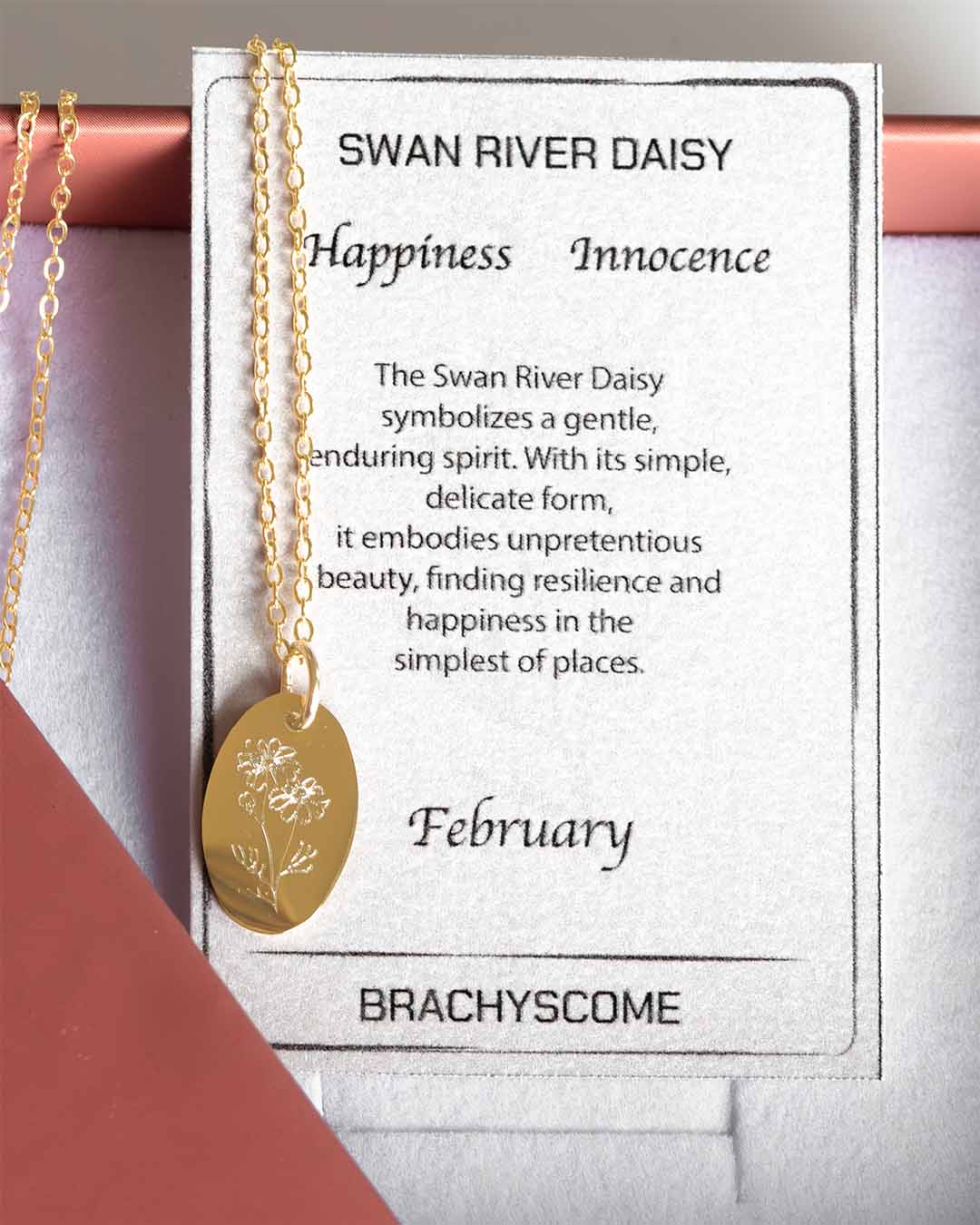 Brachyscome Australian Native Birthflower necklace gold with meaning card