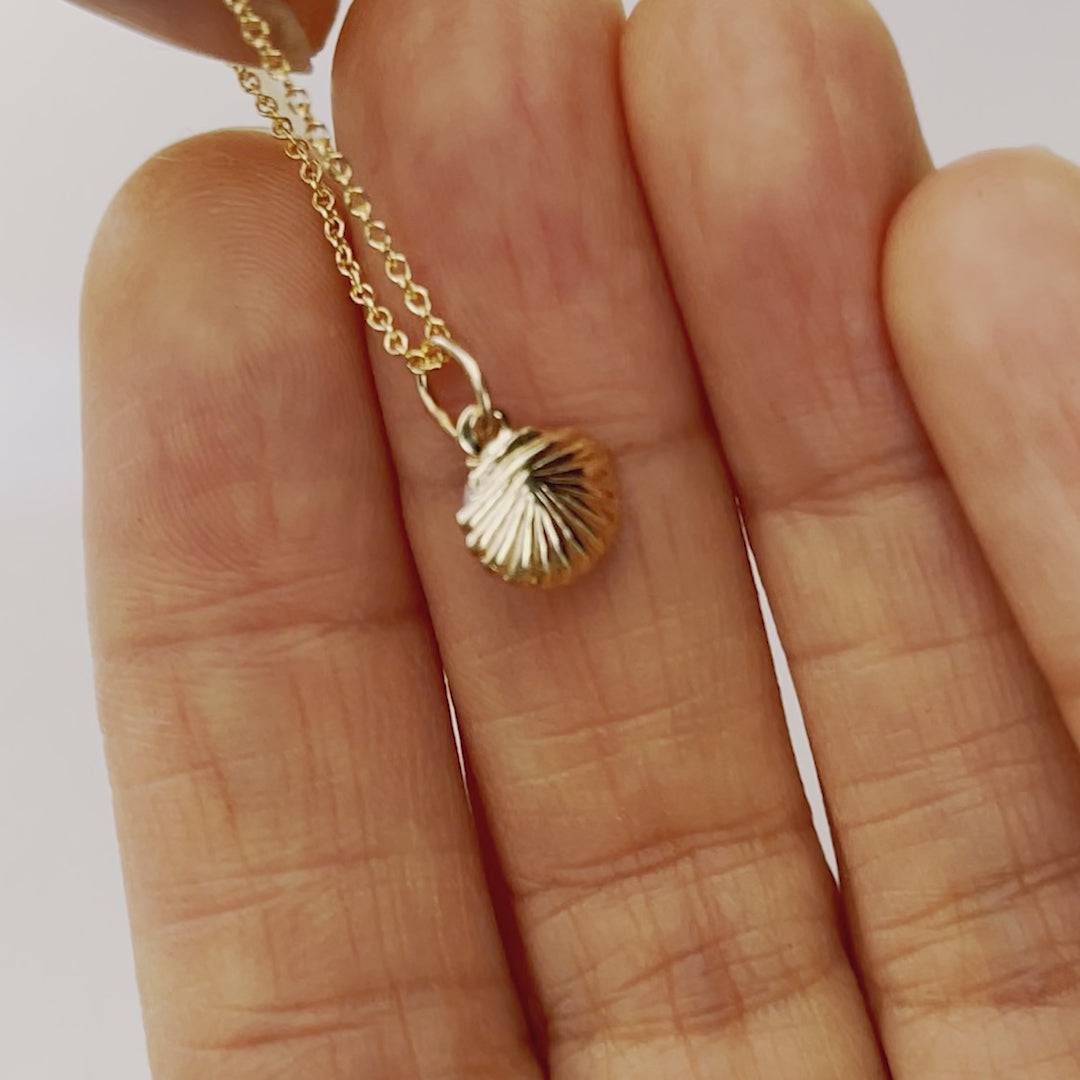 Shell Pod Necklace - Gold and Pearl