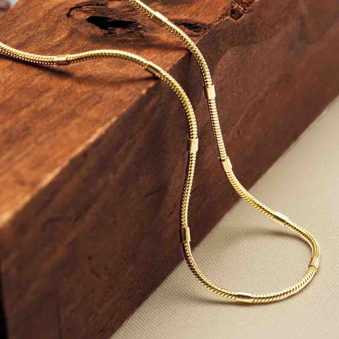 Matisse Round Snake Chain Necklace - Gold