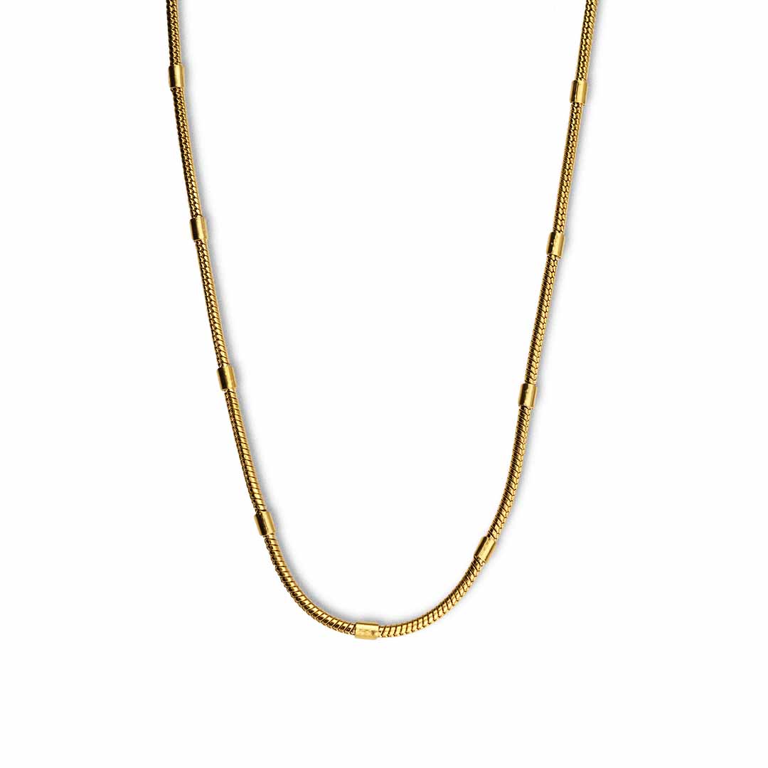 Matisse Round Snake Chain Necklace Gold