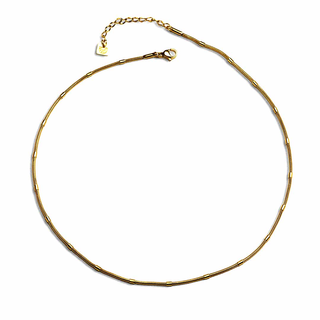 Matisse Round Snake Chain Necklace Gold top view